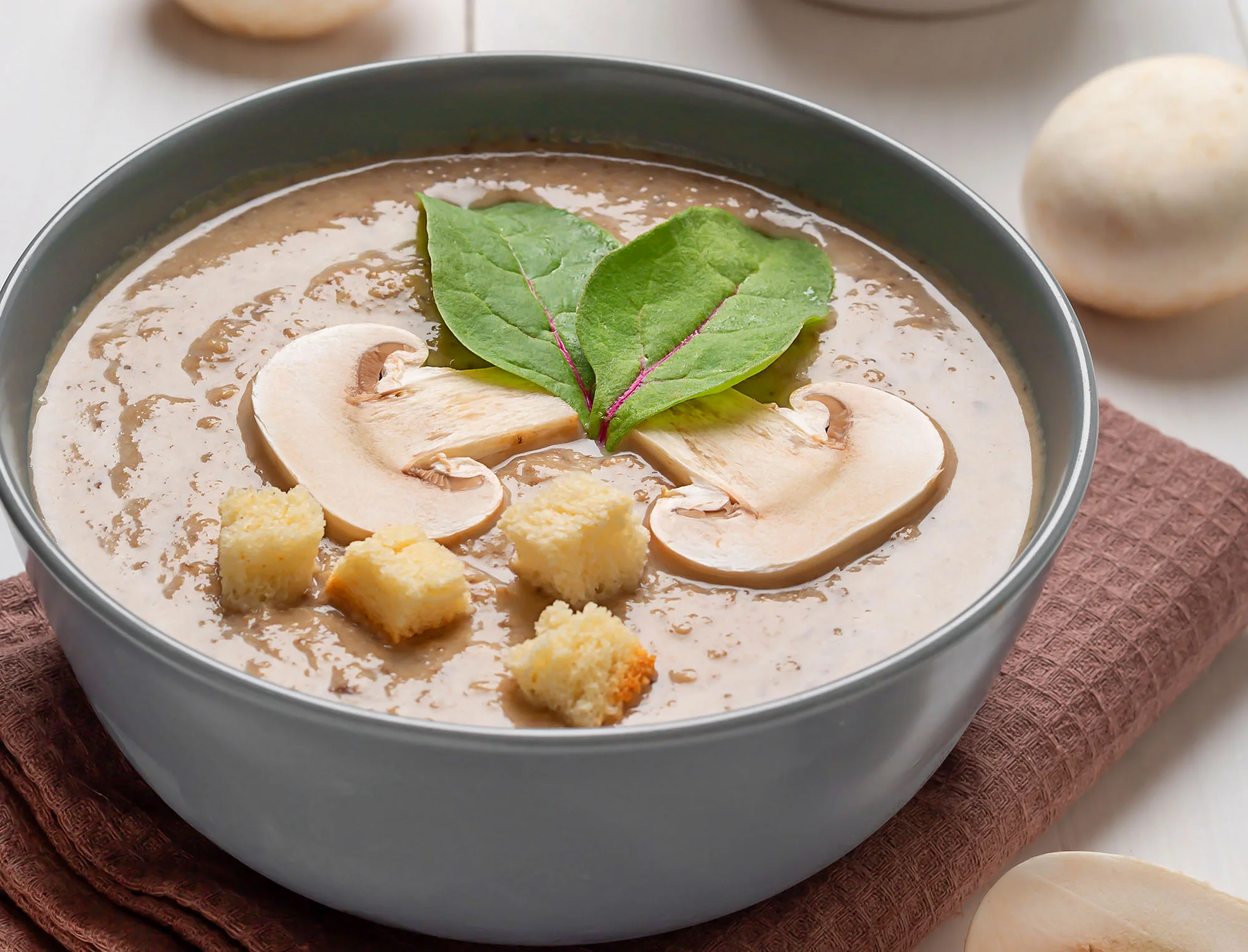 blog_jun__0007_texto 9 – Sopa Cremosa de Frango Ad’oro e Cogumelos_ Conforto e Sabor para o Inverno
